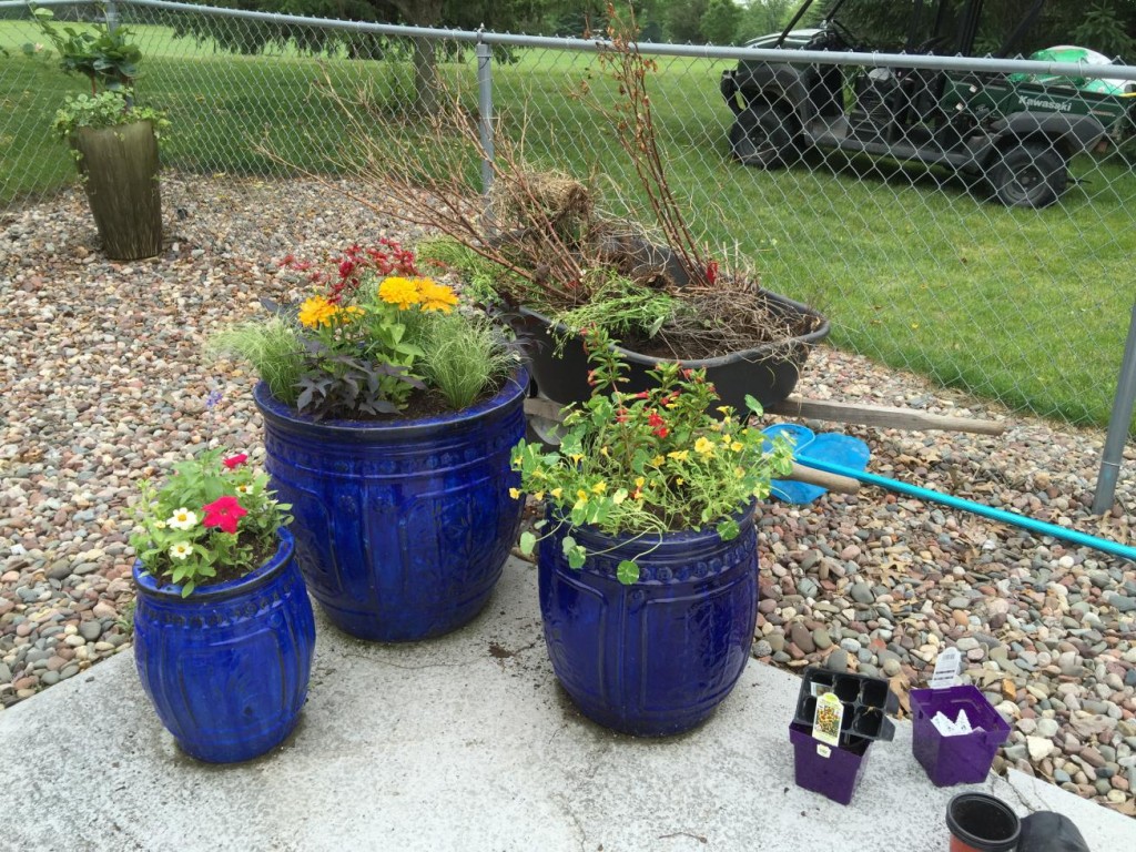 blue flower pots 3