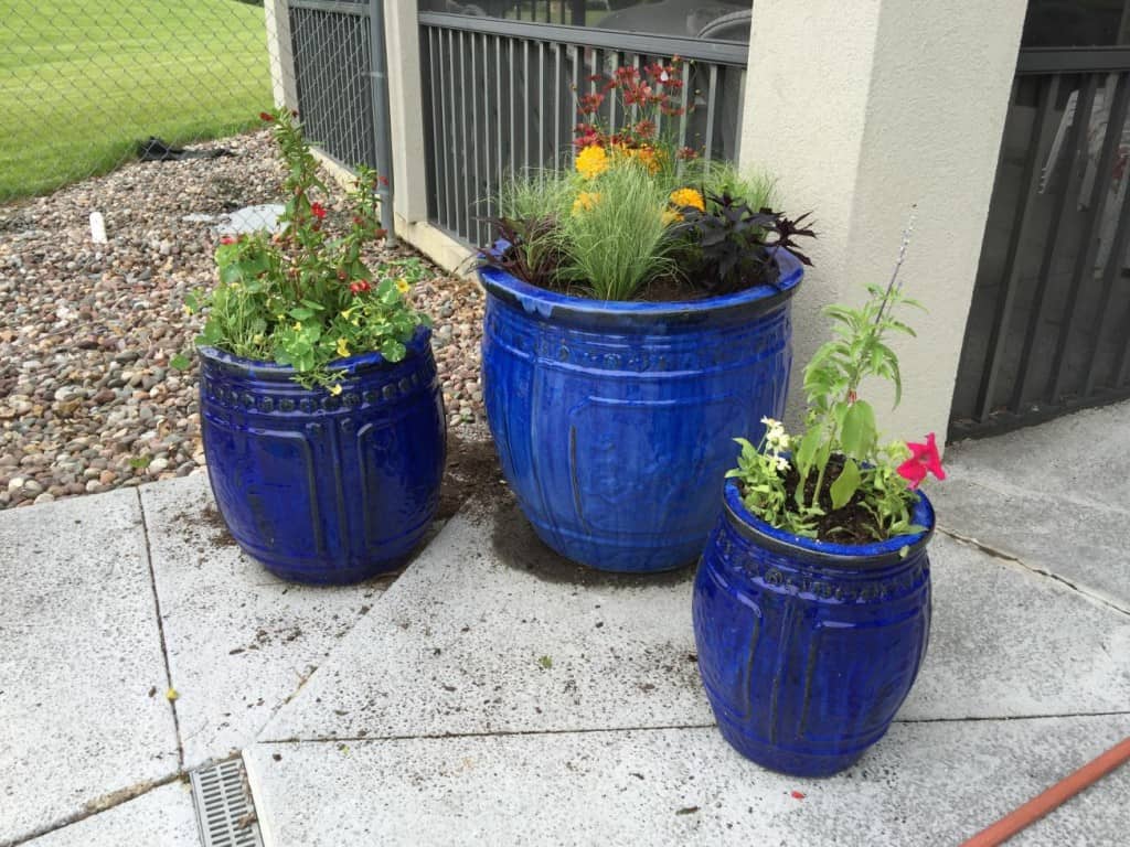 blue flower pots