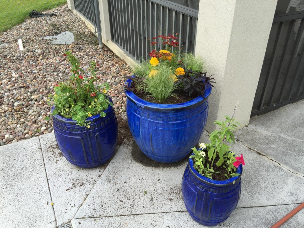 blue flower pots 2
